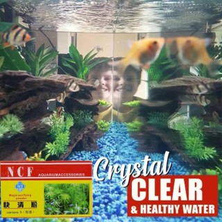 Eco-Aquarium Purifying Powder Agent Tank Moosentferner Aquarium