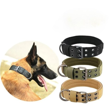 1 Stück mittelgroßes Hundehalsband aus Nylon, verstellbar und langlebig, geeignet für kleine und mittelgroße Hunde, Heimtierb