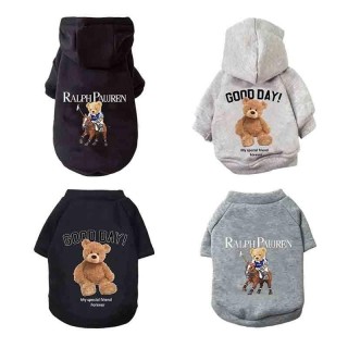 Winter Fleece Warme Haustier Hund Kleidung Niedlichen Cartoon Bär Hund Hoodie Für Kleine Hunde Pullover Welpen Kostüme Chihua
