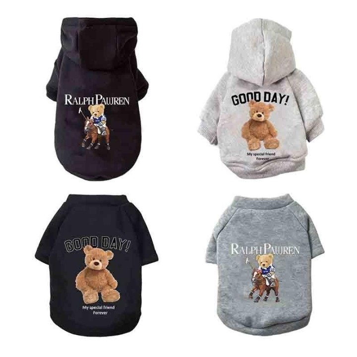 Winter Fleece Warme Haustier Hund Kleidung Niedlichen Cartoon Bär Hund Hoodie Für Kleine Hunde Pullover Welpen Kostüme Chihua