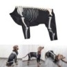 Hunde-Kapuzenpullover für alle Größen, Haustier-Skelett-Kostüm, Sweatshirt, Hundefoto-Kleidung, Pullover mit vier Beinen, Kle