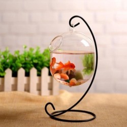 Transparentes hängendes Glasfischbecken, Unterwasserpflanzenwasserblumenvase, kleines hängendes Fischbecken, Heimdekoration