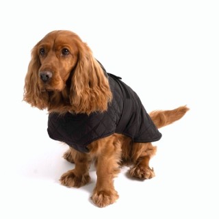 PAW WOW Hundejacke FRITZ Schwarz L