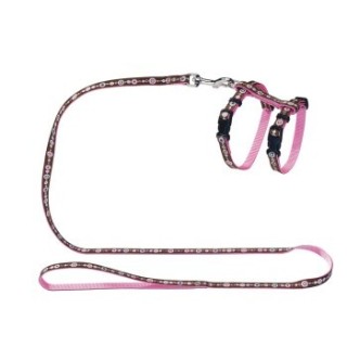 Hunter Katzen-/Welpengarnitur Signs