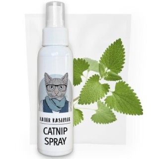 Kater Kasimir Katzenminze-Spray in der XL Flasche mit 100 ml
