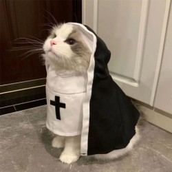 Lustiges Haustier-Katzen-Halloween-Kostüm, Nonnenmantel, Haustier-Cosplay-Kleid, Kawaii-Haustierkleidung, kreative Haustier-K