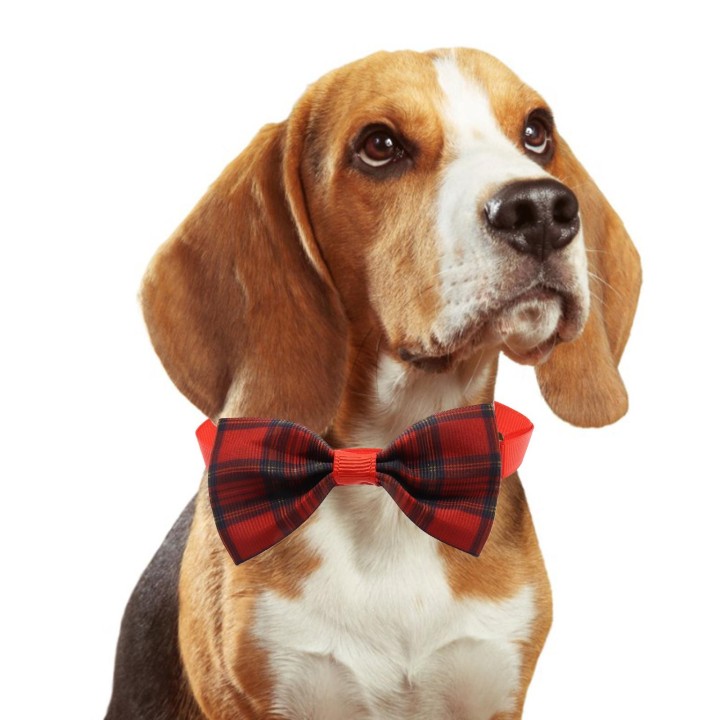 Katzenkostümhalsband für Hochzeit, Hundekrawatte, Partykleidung, Fliege, Halsband, Fotoshootings, Requisiten, formelle Krawat