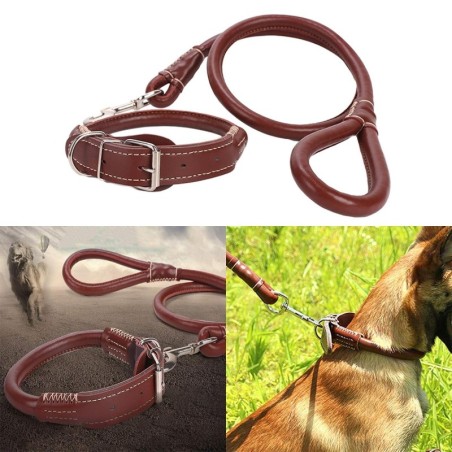 Hundehalsbänder Leder Haustier Hundemarke Halsband Leine Blei Einstellbar Für Kleine Mittel Große Hunde Pitbull Bulldog Mops