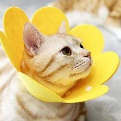 Schutzhalsband für Haustiere, Halskegel für Hunde, Genesungskegel, Halsband gegen Beißen, Lecken, chirurgische Eingriffe, Wun