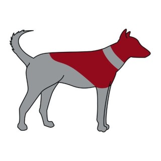 Trixie aufblasbarer Schutzkragen - S / M