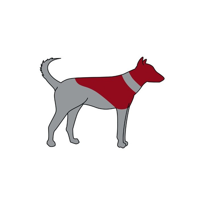 Trixie aufblasbarer Schutzkragen - S / M