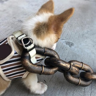 Haustier-Leine, Seil mit imitierender Eisenkette, 1,5 m lang, lustige Foto-Requisiten, interessantes Hundeketten-Zubehör