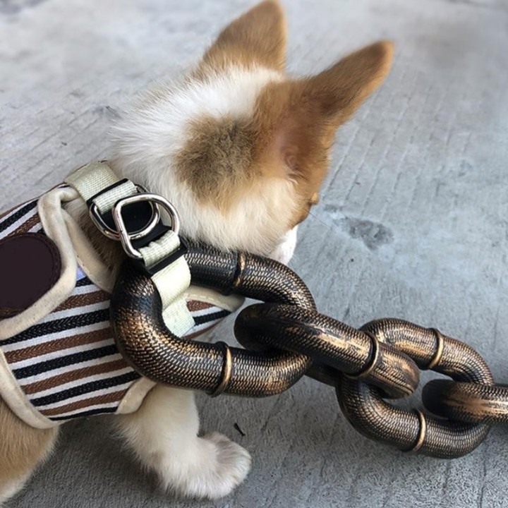 Haustier-Leine, Seil mit imitierender Eisenkette, 1,5 m lang, lustige Foto-Requisiten, interessantes Hundeketten-Zubehör