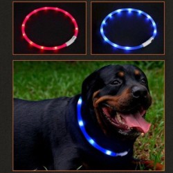 USB wiederaufladbare blinkende Nacht-Hundehalsbänder, leuchtendes Haustierhalsband, LED-Licht, USB-Hundehalsband, leuchtendes