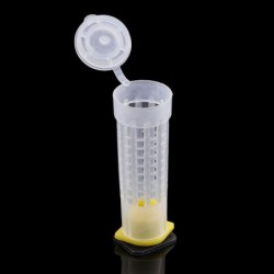 Anti-biss 50Pcs Ausrüstung Werkzeug König Bee Box Aufzucht Tasse Bee Königin Käfig Schutzhülle Bienen Aufzucht weiß