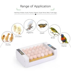 24-Eggs Intelligenter automatischer Eierinkubator mit Temperaturregelung zum Schlüpfen von Hühnerenten US Plug