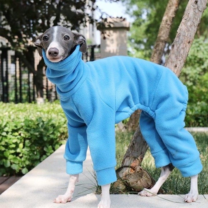Samt Hundekleidung Haustier Vierbeiner Mantel Winter Warme Weiche Fleece Haustier Jacken Hoodies Outfit Für Whippet Greyhound