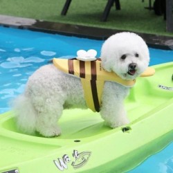 Summer Little Bee Hunde-Badeanzug, wasserdicht, für Welpen, Schwimmweste, atmungsaktive Hundekleidung, Geschirr, Schwimmsiche