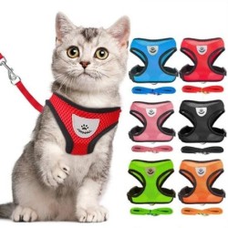 Haustierleine für Katzen und Hunde, Seilweste, atmungsaktives Haustiergeschirr aus Mesh XL schwarz