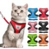 Haustierleine für Katzen und Hunde, Seilweste, atmungsaktives Haustiergeschirr aus Mesh XL schwarz