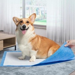 20 Stück/50 Stück/100 Stück Super saugfähiges Hundetrainingstoiletten-Einwegkissen Gesunde Windelunterlage Hochwertiger männl
