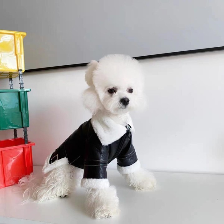 Haustierplüsch Dicker Motorradanzug Lederjacke Teddy Kleine Hunde Baumwolljacke Herbst und Winter Winddichte warme Jacke XL