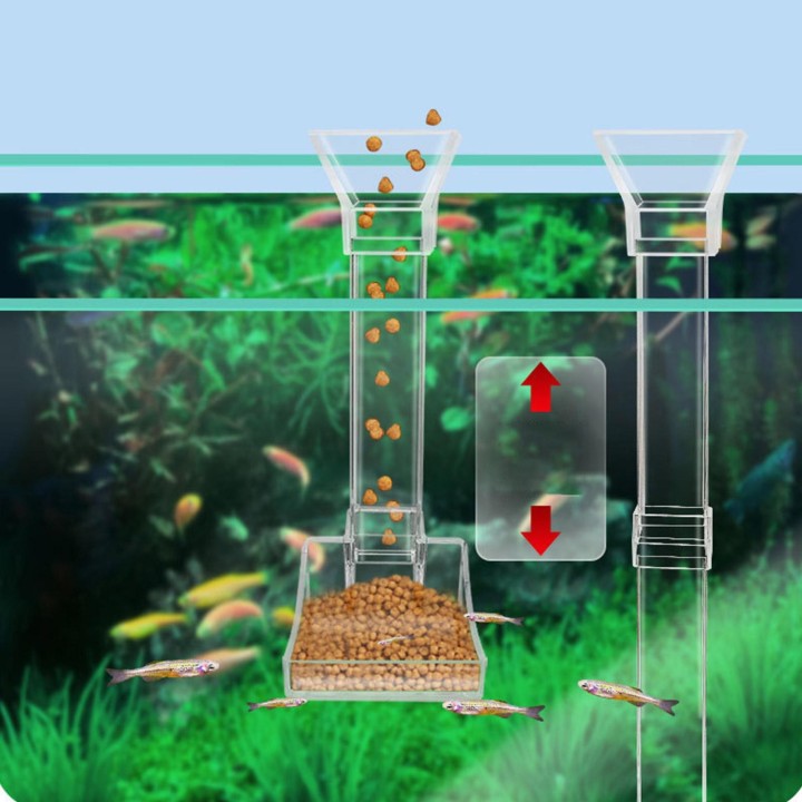 Fütterungsfutterrohr für Aquarien, Fütterungswerkzeuge mit Schüssel, abnehmbarer Rahmen, transparenter Garnelentopf aus Acryl