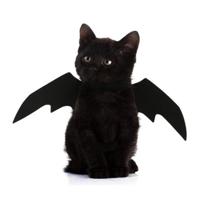 Haustier Hund Katze Fledermaus Flügel Cosplay Prop Halloween Kostüm Outfit Flügel Kostüme Foto Requisiten Kopfbedeckungen sch