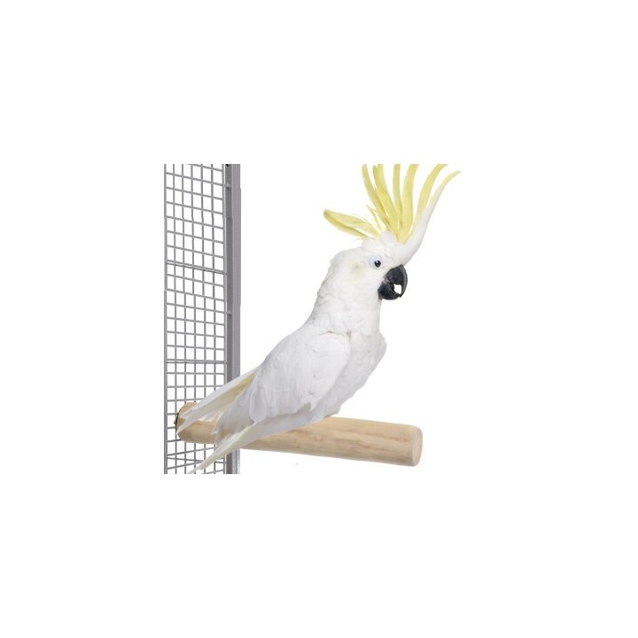 Java Kaffeeholz-Sitzstange, einseitig montierbar