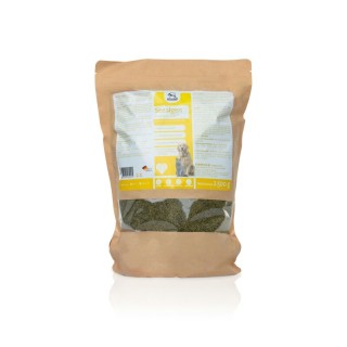 Fortan Seealgen Pulver – Natürliche Jod- und Nährstoffquelle