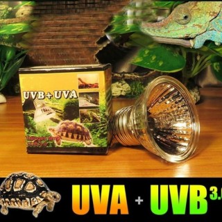 Pet Uva Uvb Reptilien-Schildkröten-Heizlampe, volle Sonnenlampen, Basking Pet 25 W/50 W/75 W 25W