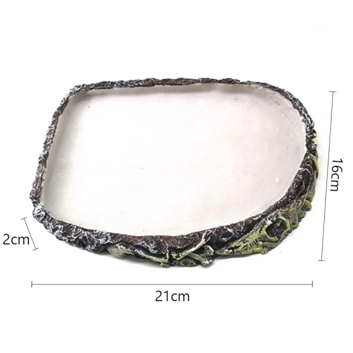 1 stücke Reptil Wasser Gericht Futternapf Schildkröte Feeder Nahrung Und Wasser Platte Amphibien Feeder Bowl Für Schildkröte