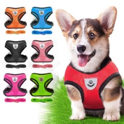 Weiches und bequemes Haustierhalsband, Chihuahua-Mops-Hundegeschirr, Nylon-Mesh-Welpenweste, reflektierende Gehleine, Lederle
