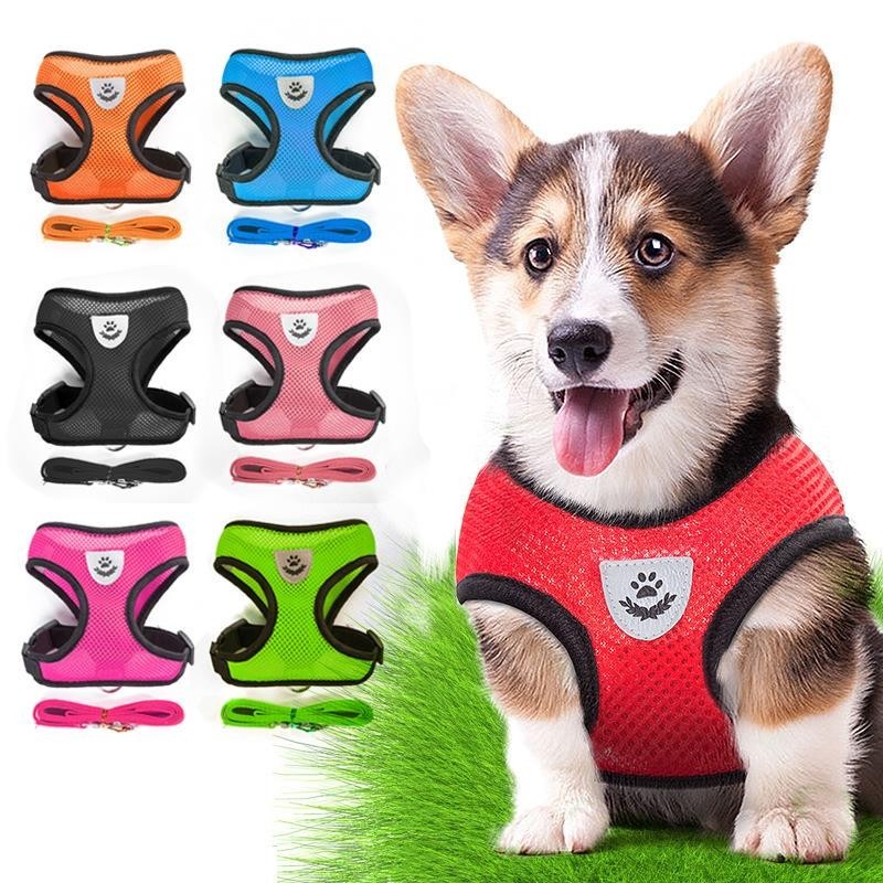 Weiches und bequemes Haustierhalsband, Chihuahua-Mops-Hundegeschirr, Nylon-Mesh-Welpenweste, reflektierende Gehleine, Lederle