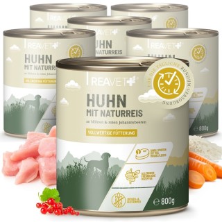 REAVET Hundenassfutter - Huhn mit Naturreis an Möhren & roten Johannisbeeren | 6 x 800g