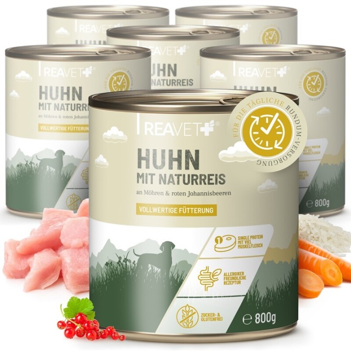 REAVET Hundenassfutter - Huhn mit Naturreis an Möhren & roten Johannisbeeren | 6 x 800g