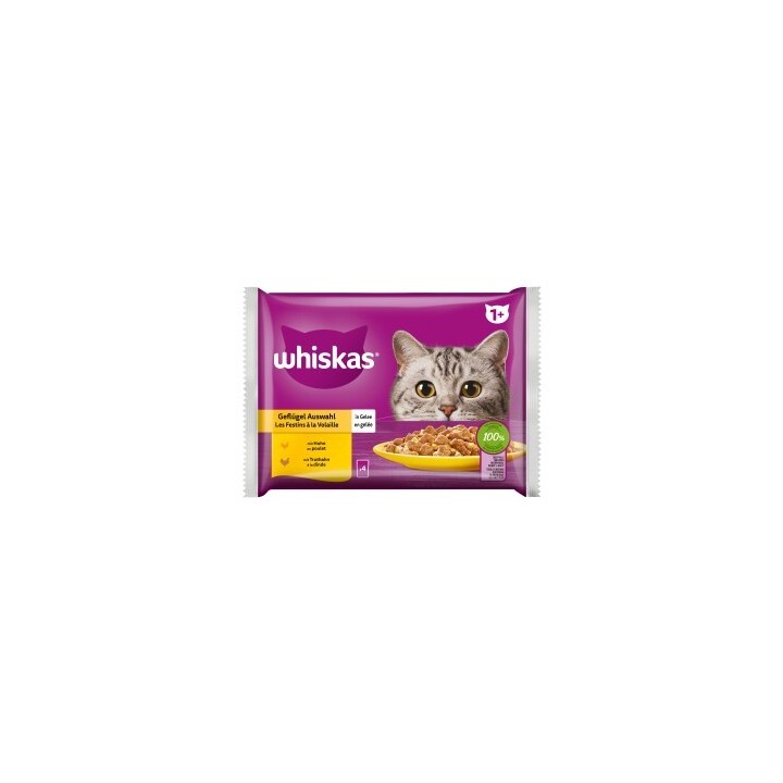 Whiskas Nassfutter Katze Adult 1+, Mixpaket, Geflügel Auswahl, in Gelee 4x85 g