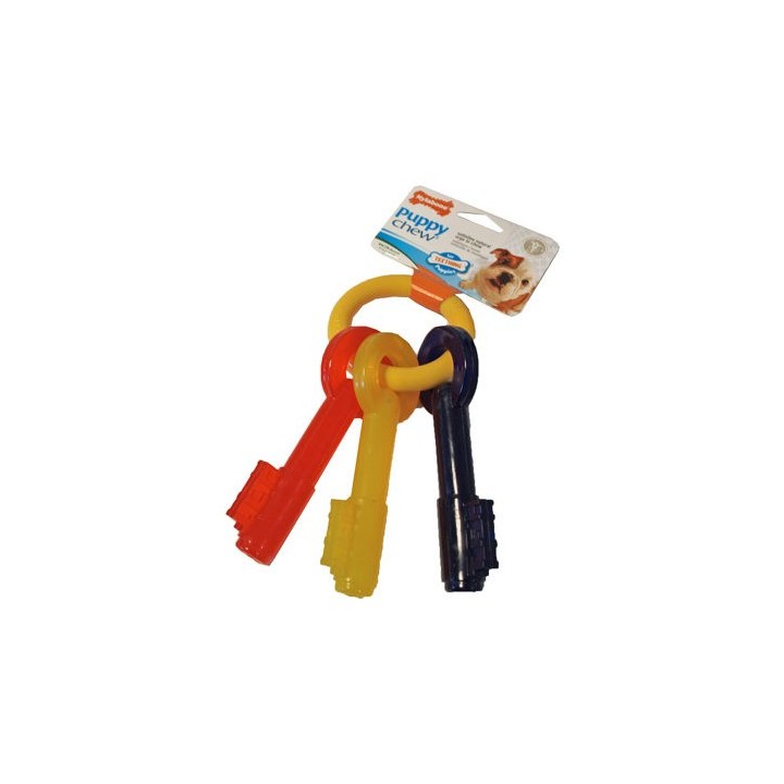 Nylabone Teething Puppy Keys - S
