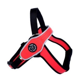 Tre Ponti Geschirr Primo Classic rot M