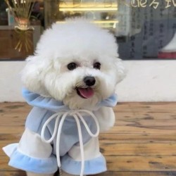 Haustier Herbst/Winter Hundepuppe Lustige Kleidung Herbst/Winter Plüsch Kaninchen Ohr Hoodie Teddybär Hoodie Süße Kleidung We
