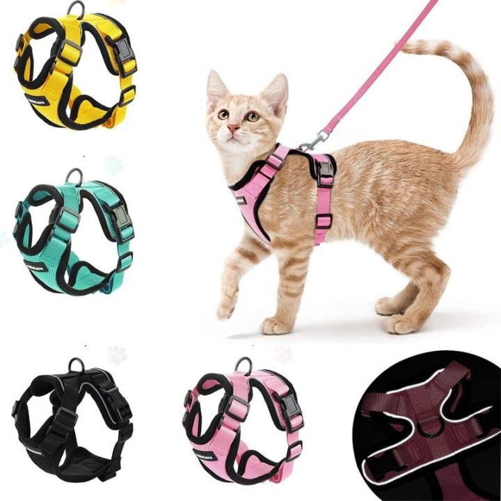 Set aus weichem Mesh-Geschirr und Leine für kleine Katzen zum Spazierengehen, verstellbare, atmungsaktive Weste, ausbruchsich