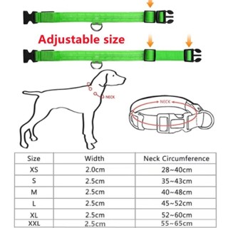 LED leuchtendes Hundehalsband, verstellbar, blinkend, wiederaufladbar, leuchtendes Halsband, Nacht-Anti-Verlust-Hundelicht-Ge