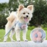 Hundegeschirr mit 1,2 m Leine, verstellbares Haustiergeschirr für Welpen, Katzen, Bulldoggen, Chihuahua, Spaziergänge im Frei