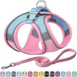 Hundegeschirr Weste Brust Katzenhalsbänder Seil Verstellbares atmungsaktives Mesh Hundegeschirr Kleidung Outdoor Spazierengeh