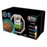 SHEBA Sauce Collection Schalen mit verschiedenen Geschmacksrichtungen 4x8x85 g in Sauce mit Lachs, Thunfisch, Huhn, Ente