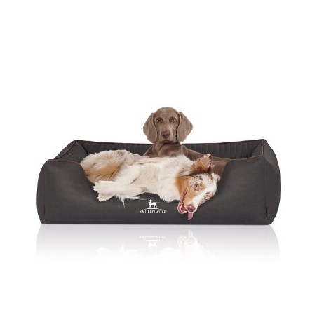 Knuffelwuff Orthopädisches Hundebett Columbia aus laser-gestepptem Kunstleder schwarz XL