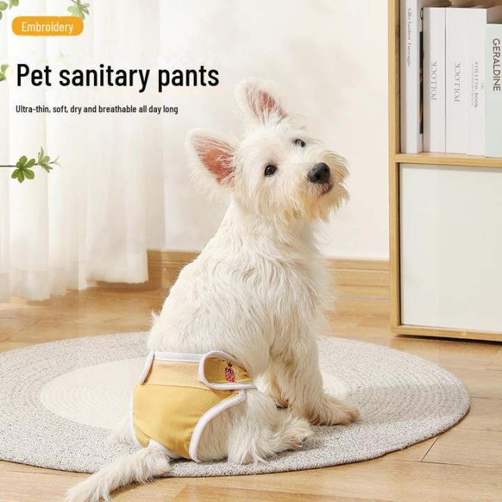 Hitzeschutz- und Menstruationshöschen für Hunde: Anti-Belästigung-Unterwäsche für Hündinnen XXL rosa