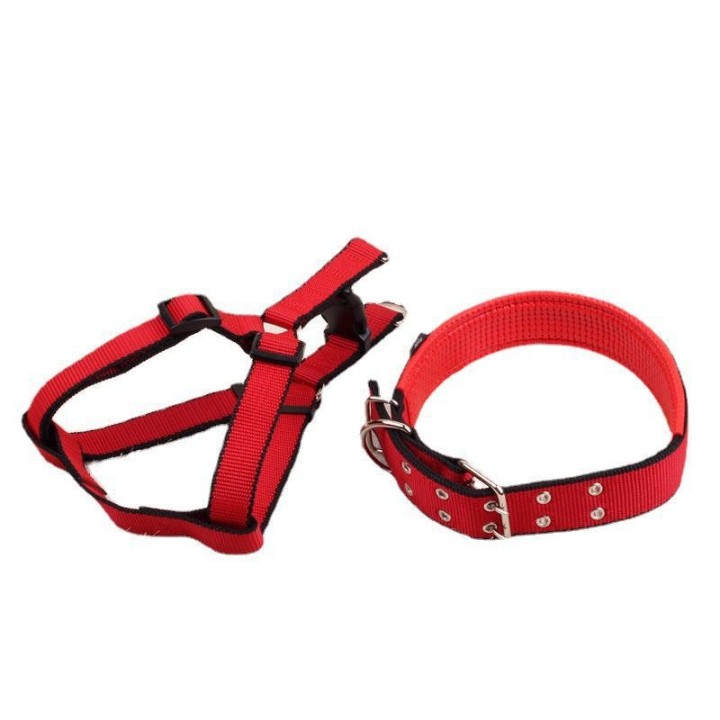 Schaumstoffschwamm für Haustierhalsbänder für Hunde XS, collar armee grüne