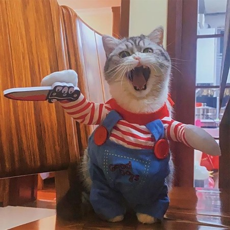 Halloween-Katze, lustiges Cosplay-Kostüm, Kätzchen, komische Outfits, Welpen-Kitty-Verkleidung, Party-Kleidung für kleine, mi