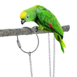Taube Outdoor Starling Vogel Zubehör Sittich Fuß Kette Papagei Fuß Ring Vogel Stehen Ankle 6